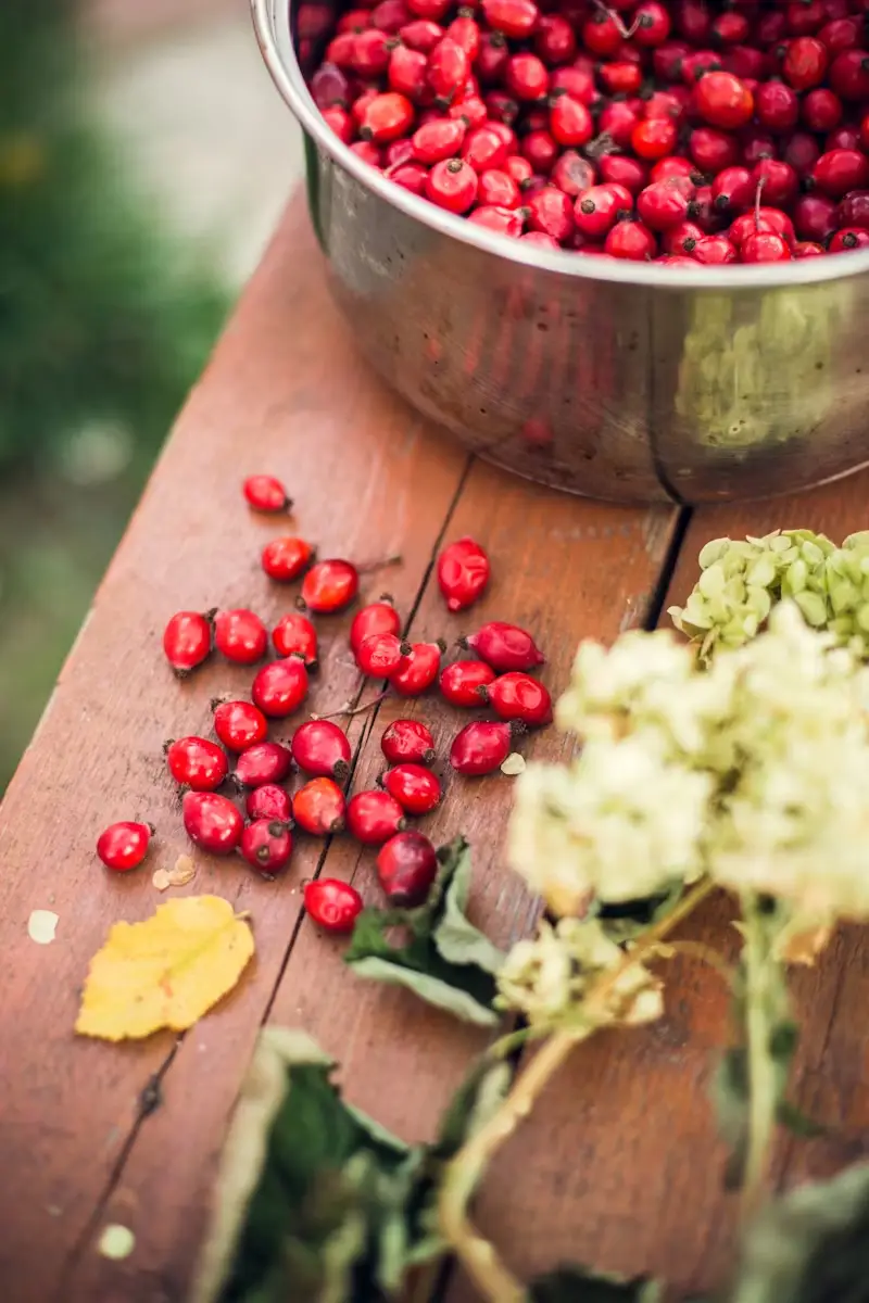 Goji-Berries